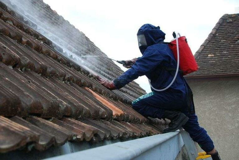 Comment procéder à la destruction d’un nid de guêpes sous une toiture ?